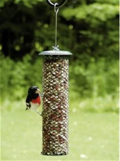 Shelled Peanut Feeder