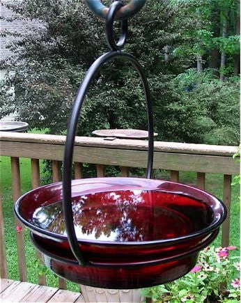 Glass Globe Dish Feeder/Mini-Bath- Red Or Lime - Image 2