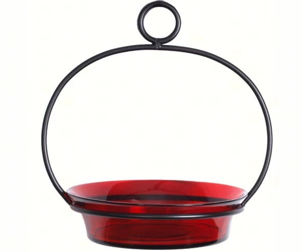 Glass Globe Dish Feeder/Mini-Bath- Red Or Lime - Image 3