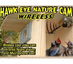 Hawk-Eye Wireless Spy Camera For Birdwatching