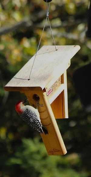 Clinger Woodpecker And Peanut Feeder - Image 2