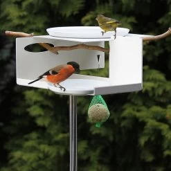Mod Bird Bath/Feeder On Pole