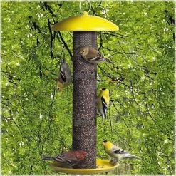 Yellow Finch Feeder By No-No