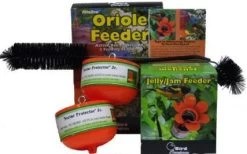 Oriole Feeder Combo Packge