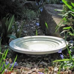 Oasis Step Bath And Drinker