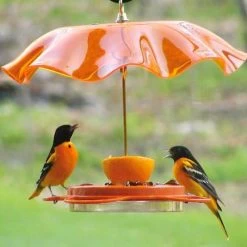 Oriolefest Oriole Bird Feeder