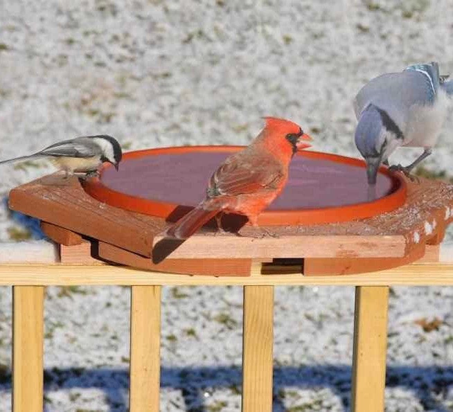 Cedar Heated Deck Mount Bird Bath