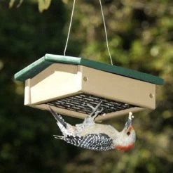 Recycled Upside Down Suet Feeder