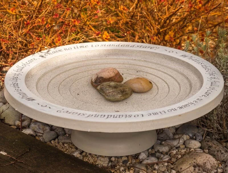 Large Step-In Bird Bath - Image 3