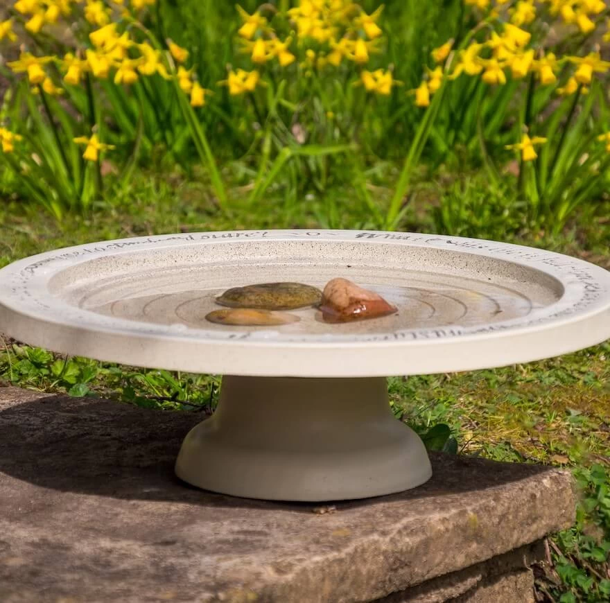 Large Step-In Bird Bath - Image 2