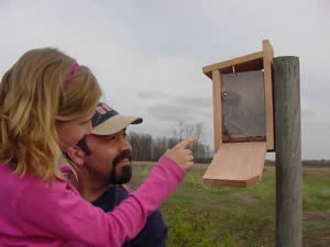 View Thru Bluebird House-NABS Approved - Image 3