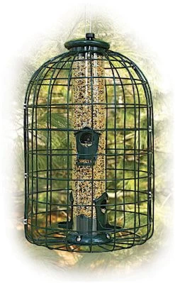 Caged Squirrel Proof Bird Feeder- 2 Lb.