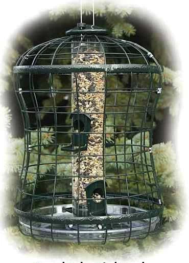 Caged Squirrel Proof Bird Feeder W/ Tray