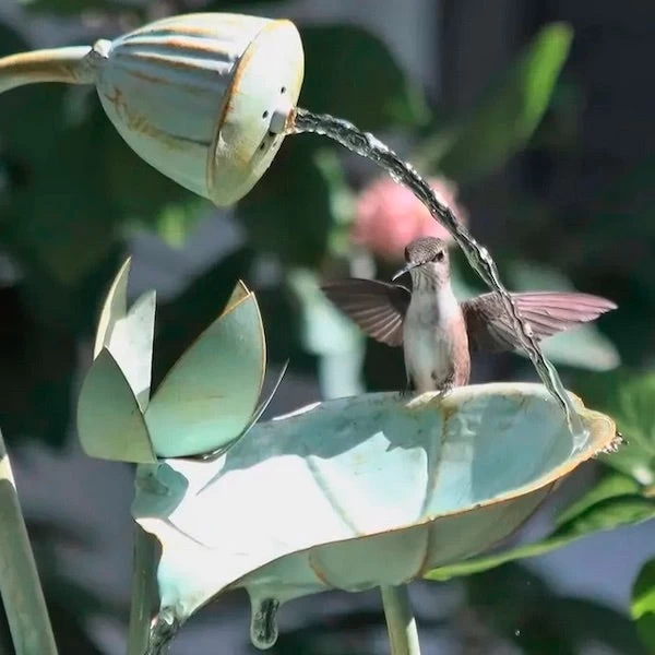 Lily Pad Hummingbird Bath Cascading Fountain