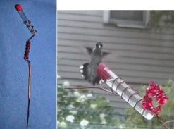 Charmer Hand-Held Hummingbird Feeder Set