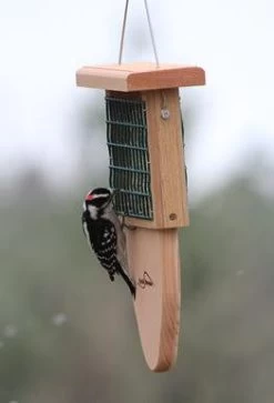 Tail Prop Suet Feeder
